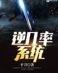 逆几率系统