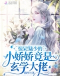 惊呆!陆少的小娇娇竟是玄学大佬免费