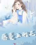 藤蔓上的花