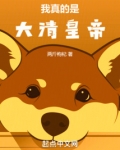 我真的是大清皇帝！