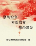 霸气公主,不回皇宫,到处惹事 笔记潦草之顺理成章