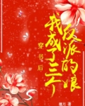 穿书后,我成了三个反派的娘下载