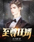 至尊狂婿