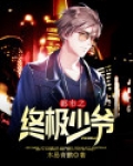 都市之终极少爷