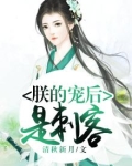 朕的宠后是刺客