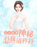 惹火娇妻，神秘总裁请矜持