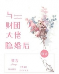 与财团大佬隐婚后