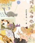 网王之与你相遇