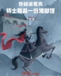 穿越诸葛亮，将士每餐一份猪脚饭