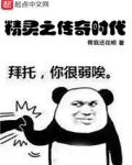 精灵之传奇时代免费阅读
