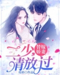 替嫁娇妻：二少请放过