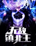 无敌镇北王叶辰
