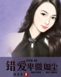错爱卑微如尘 小说
