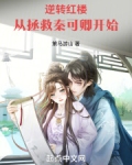 逆转红楼:从拯救秦可卿开始笔趣阁