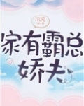 家有霸总娇夫(女尊)