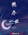 燃尽一生是什么意思