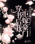 穿书后我拒绝离婚免费阅读