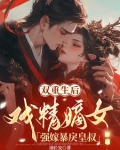 王妃生下双胞胎后薨了