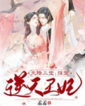 天降三宝：强宠逆天王妃