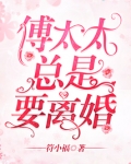 傅总太太又在征婚了电视剧
