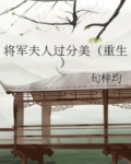 将军夫人过分美