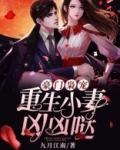 豪门枭宠:重生小妻凶凶哒漫画