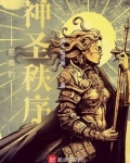 至高的神圣秩序 小说
