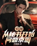 官场秘诀小说