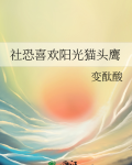 社恐喜欢阳光猫头鹰txt