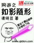 网游之幻影游侠