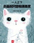一人之下,小巫祝只想收集精灵小说