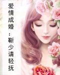 爱情成婚:靳少请轻抚