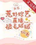 荒野直播之