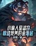 小偷入室盗窃，惊动我养的金渐层