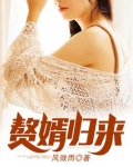 赘婿归来弥天之恨叶辰