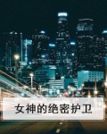 女神的绝密护卫