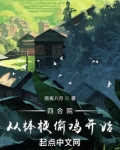 四合院从棒梗偷鸡开始