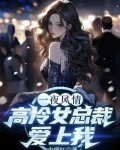 一夜风情,高冷女总裁爱上我了