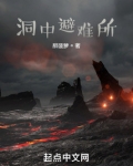 洞中避难所无防盗