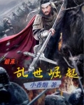 明末乱世崛起王毅