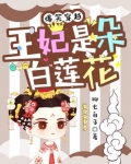 爆笑穿越：王妃是朵白莲花