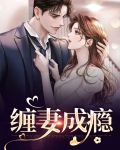 小说 缠婚