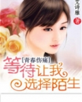 等待陌生人