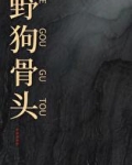 野狗骨头 网盘