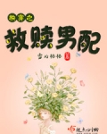 穿越救赎男配的小说