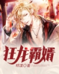 狂龙霸婿