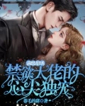 满级甜诱，禁欲大佬的心尖独宠