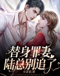 替身新娘陆总的第一宠妻小说免费阅读