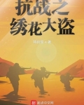 抗日绣花针第一集电视连续剧