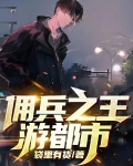 都市佣兵之王TXT免费下载